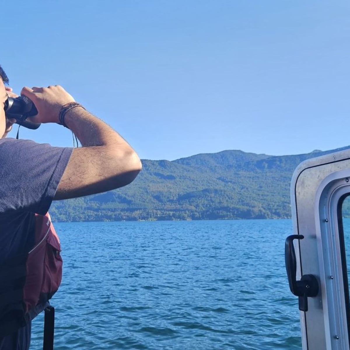 Joven desaparecida en Lago Villarrica tras accidente en kayak Joven desaparecida en Lago Villarrica tras accidente en kayak