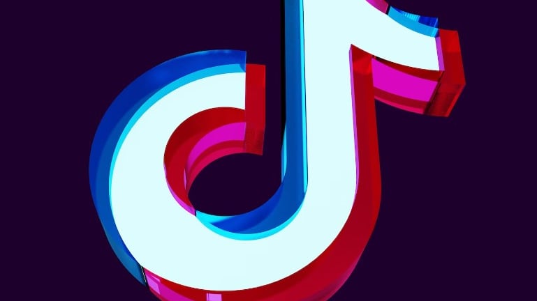 TikTok es una de las aplicaciones más usadas en todo el mundo