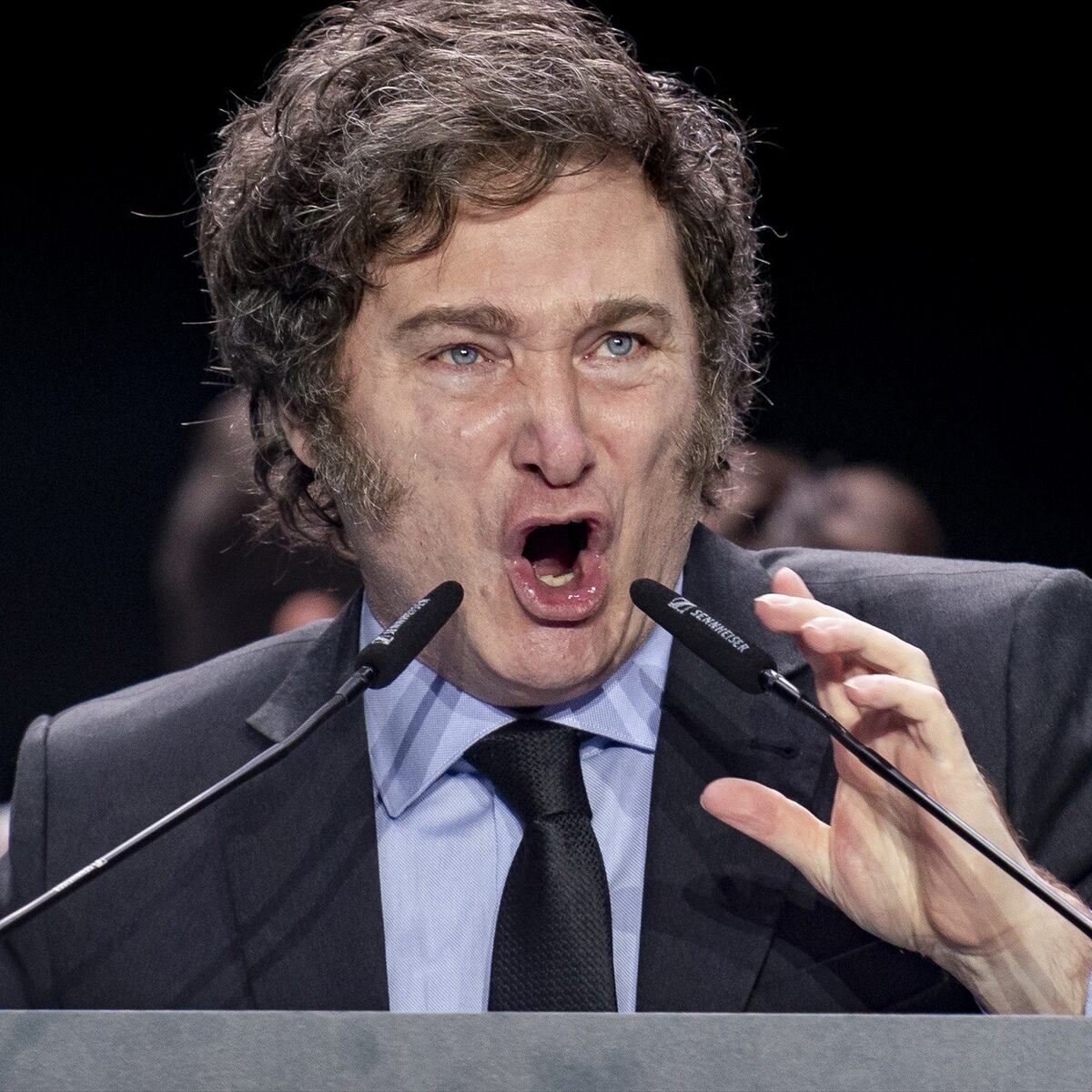 Polémico decreto del Gobierno de Milei sobre personas con discapacidad intelectual Polémico decreto del Gobierno de Milei sobre personas con discapacidad intelectual
