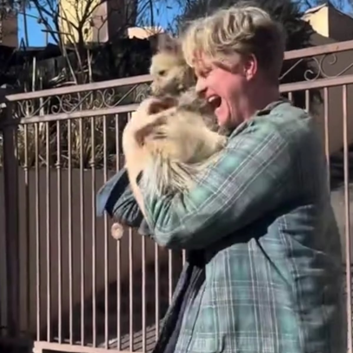 Emotivo reencuentro entre Casey Colvin y su perro Oreo tras incendios en California Emotivo reencuentro entre Casey Colvin y su perro Oreo tras incendios en California