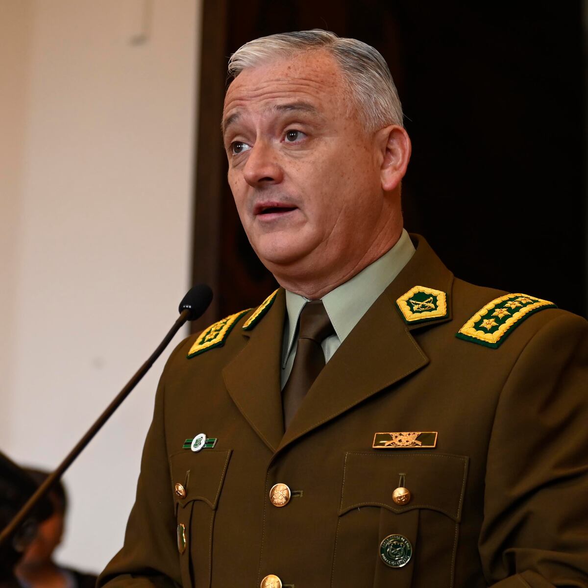 Director de Carabineros investiga fuga de detenido y promete capturarlo Director de Carabineros investiga fuga de detenido y promete capturarlo