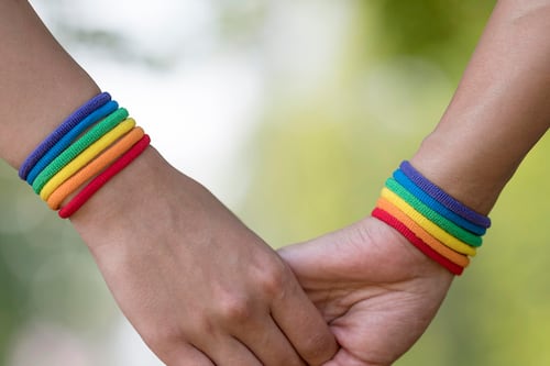 Movilh declara estado de alerta tras triunfo presidencial de José Antonio Kast