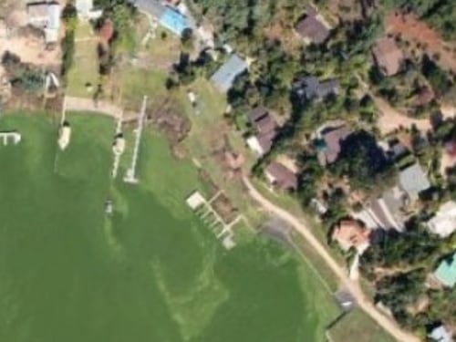 Lago Vichuquén es declarado en riesgo sanitario tras hallazgo de “bacteria asesina”