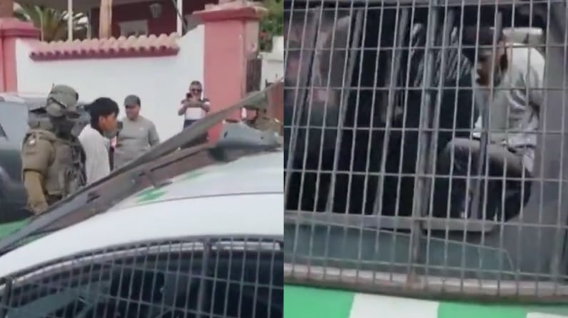Reo capturado en Arica | Captura: T13