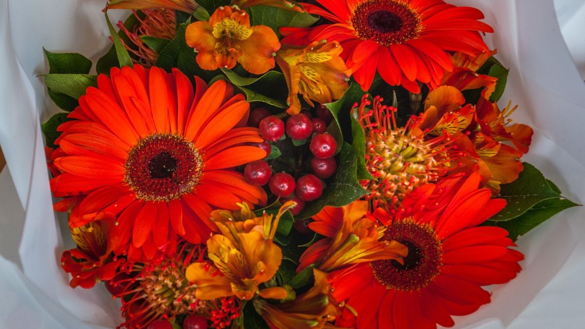 Flores de temporada: cuáles elegir para tener un ramo bonito y accesible