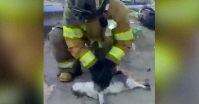 Bomberos Rosarito México