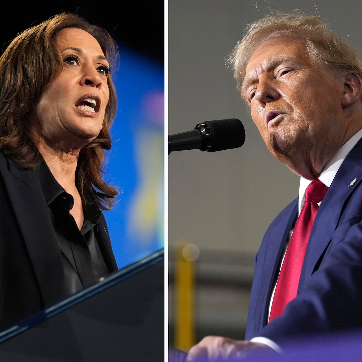 Kamala Harris sigue liderando a Donald Trump en un clima político dividido Kamala Harris sigue liderando a Donald Trump en un clima político dividido
