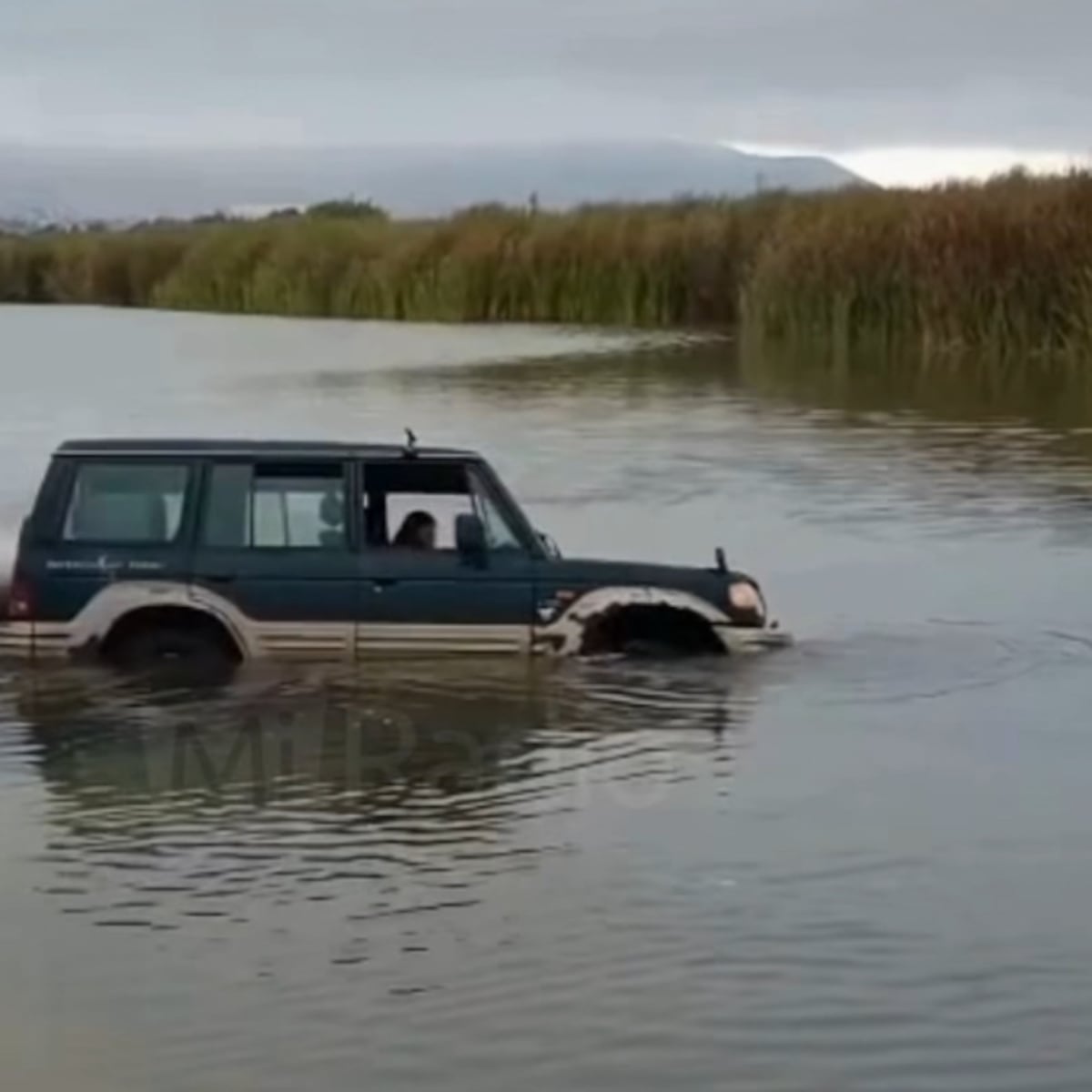 Auto varado en humedal del río Elqui causa indignación en La Serena Auto varado en humedal del río Elqui causa indignación en La Serena