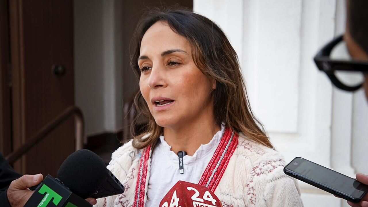 Diputada Carla Morales