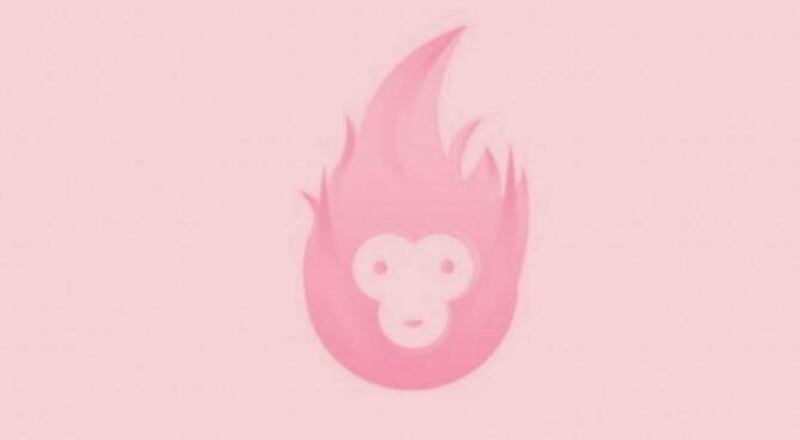 ¿Mono o fuego?