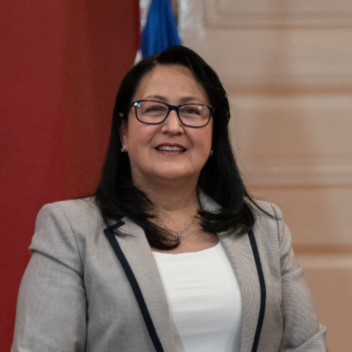 Dorothy Pérez admite presión por sumarios tras críticas a licencias médicas Dorothy Pérez admite presión por sumarios tras críticas a licencias médicas