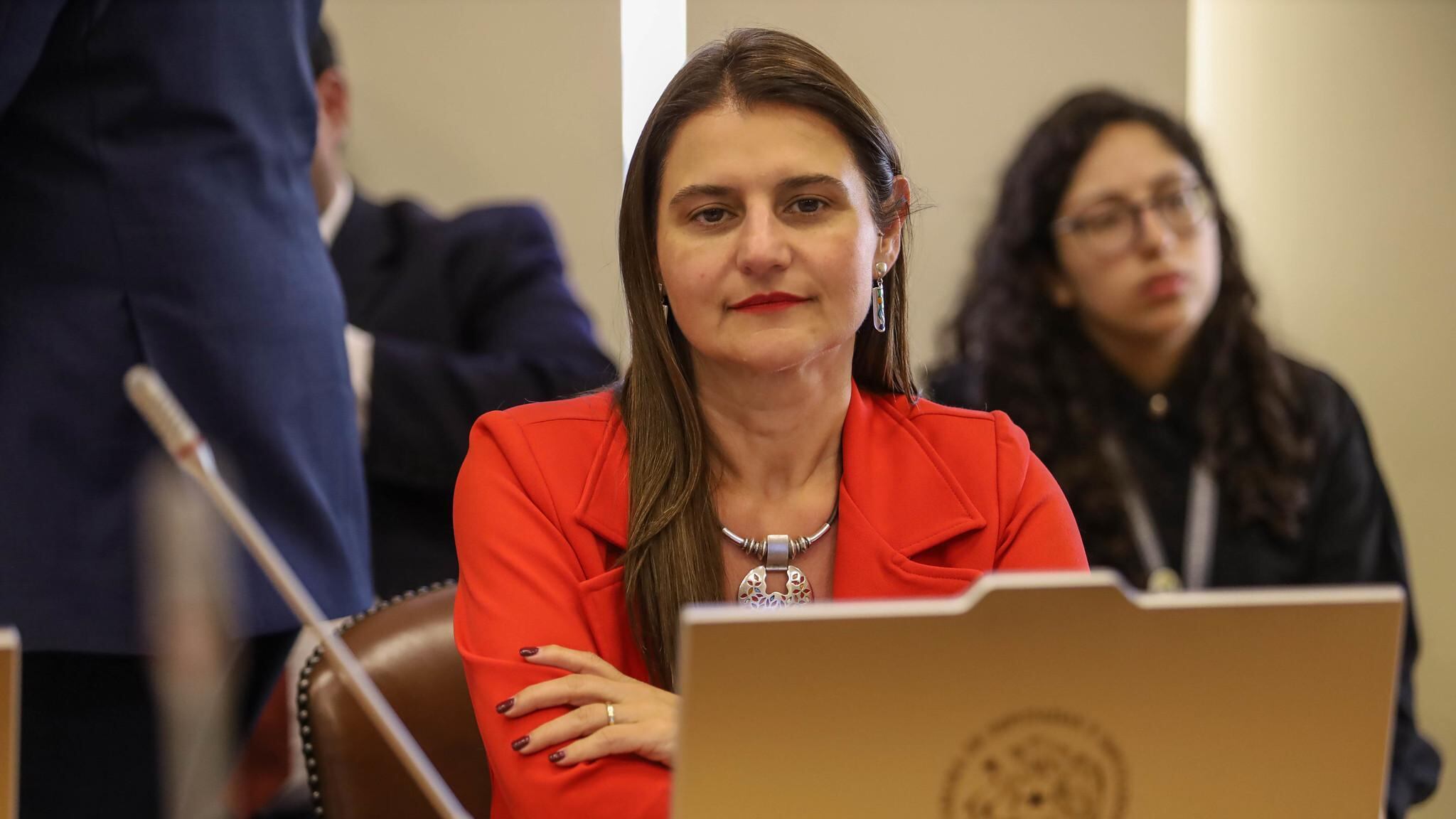 Diputada Sofía Cid