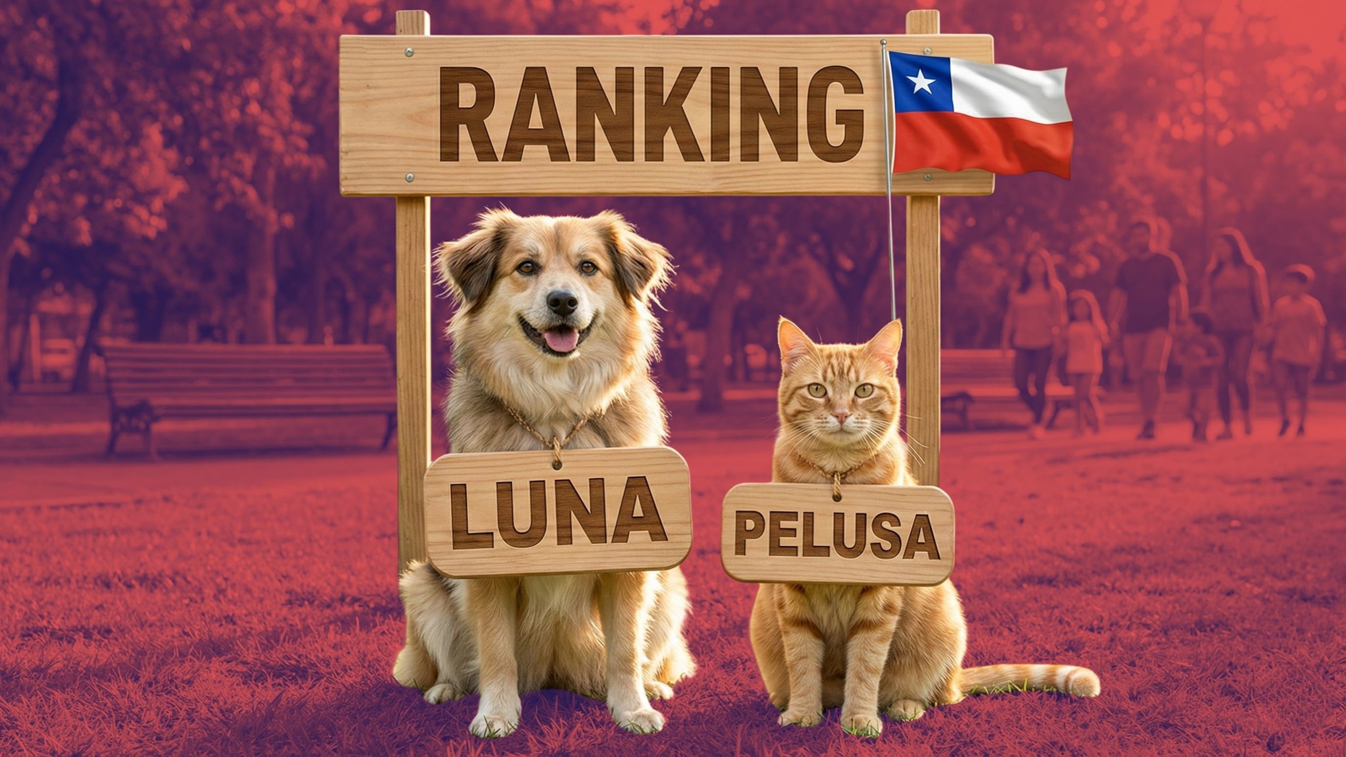 Datos del Registro Nacional de Mascotas muestran cómo los chilenos bautizan a sus perros y gatos en 2025.