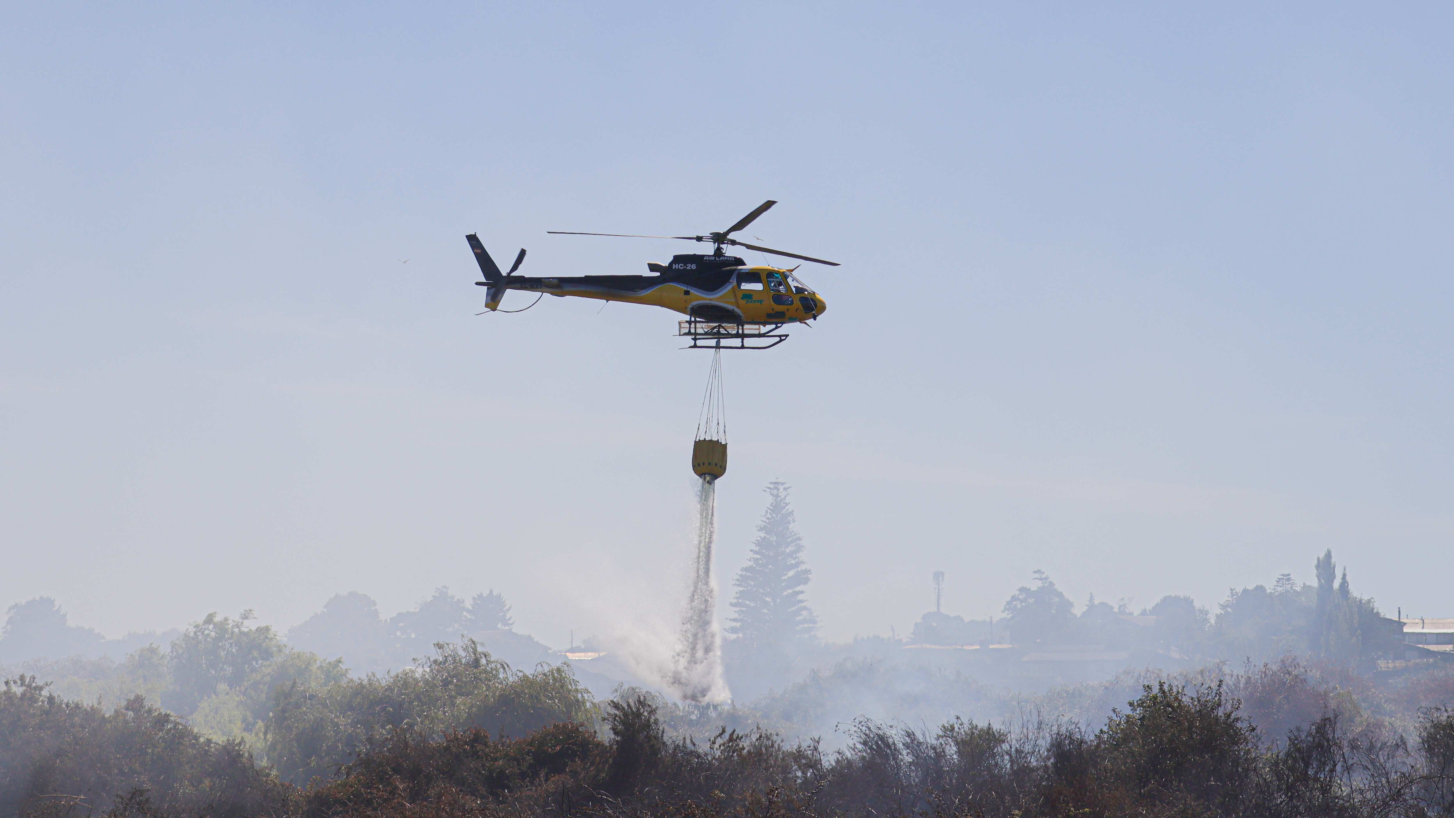 HUALPEN: Incendio forestal costado Supermercado Jumbo | 08 DE FEBRERO DE 2025/HUALPEN
Incendio forestal de rápida propagación, al costado de Supermercado Jumbo de Avenida Costanera, de la comuna de Hualpén
FOTO: RODRIGO FUICA/AGENCIA UNO