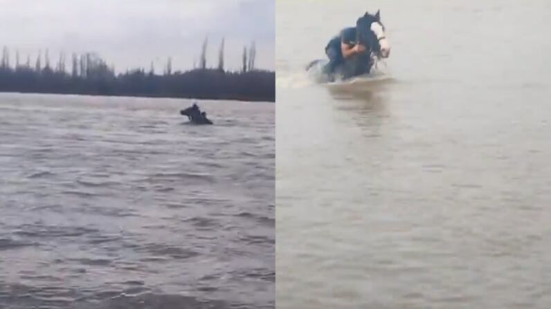 Joven rescata a su yegua en Arauco | Fuente: X