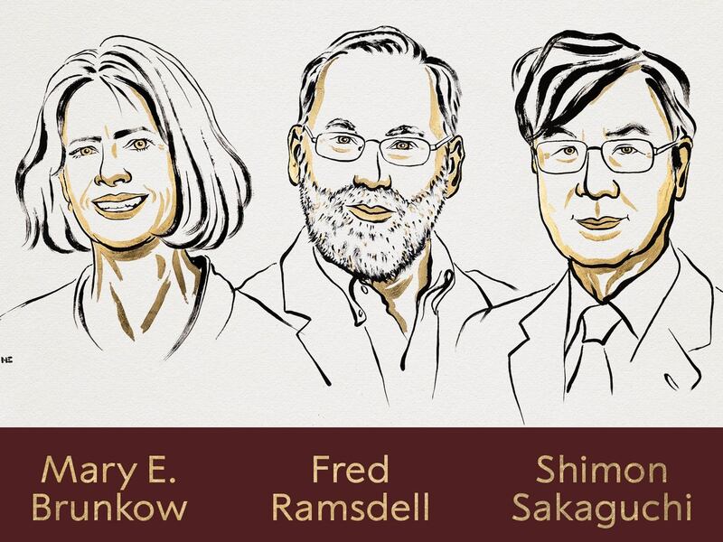 Premio Nobel de Medicina 2025 destacó a descubridores de las células que resguardan el sistema inmune