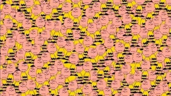 Encuentra al Pikachu oculto.