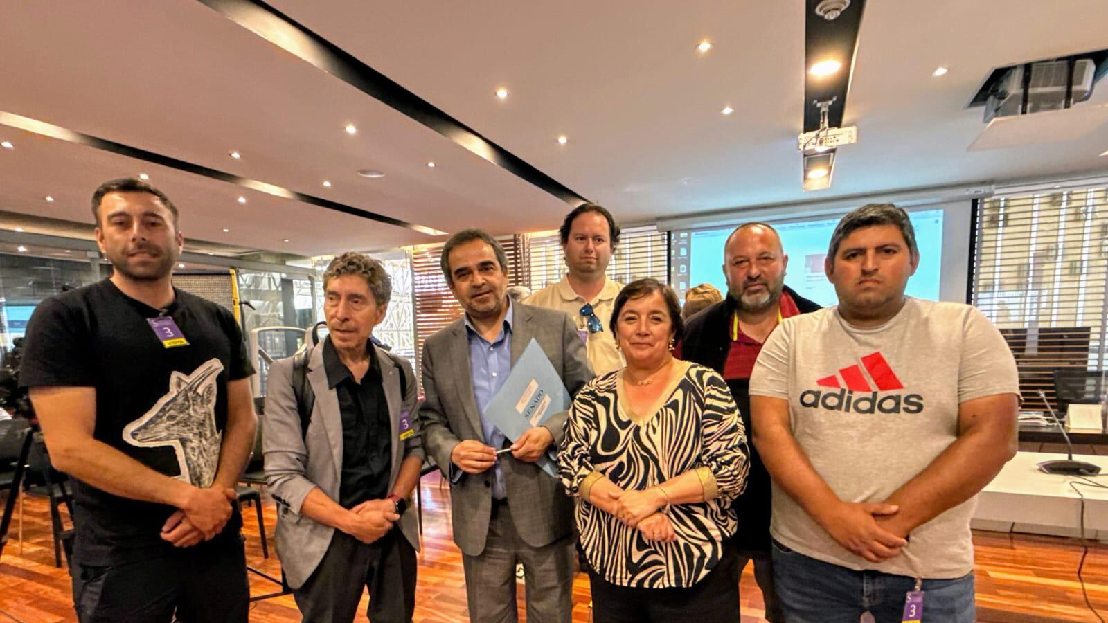Senadores de La Araucanía
