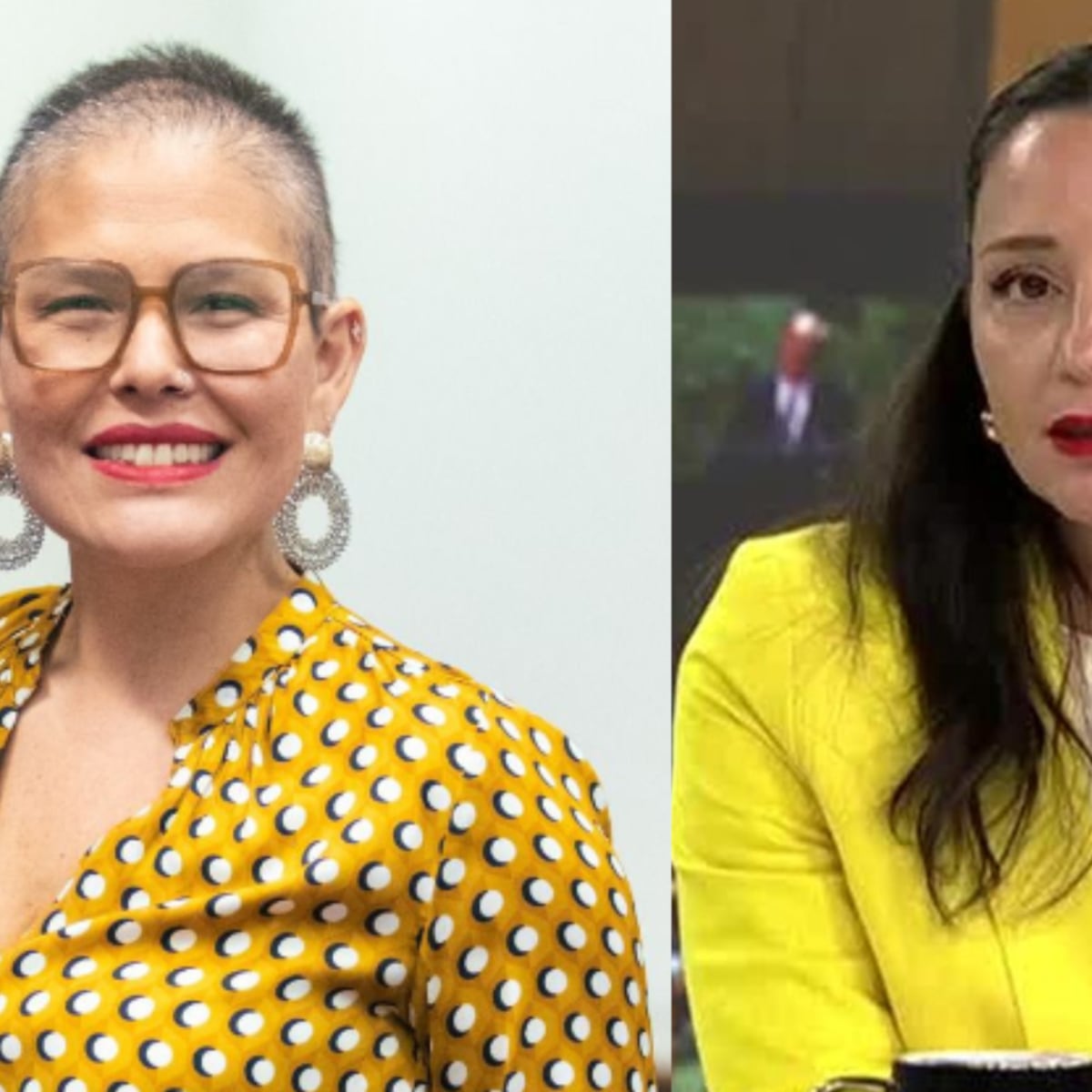 Andrea Arístegui cuestiona despido de directora del Sernameg Andrea Arístegui cuestiona despido de directora del Sernameg