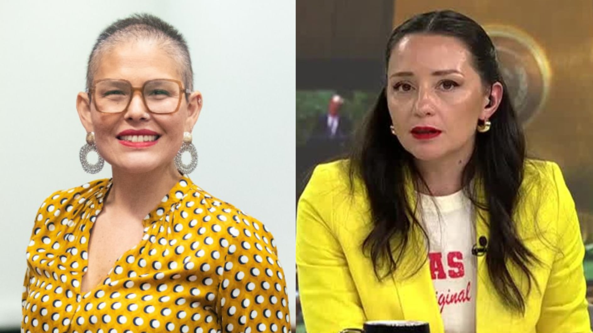 Andrea Arístegui cuestionó despido de directora del Sernameg: “Humanidad para los abuelitos que están en Punta Peuco, pero..”