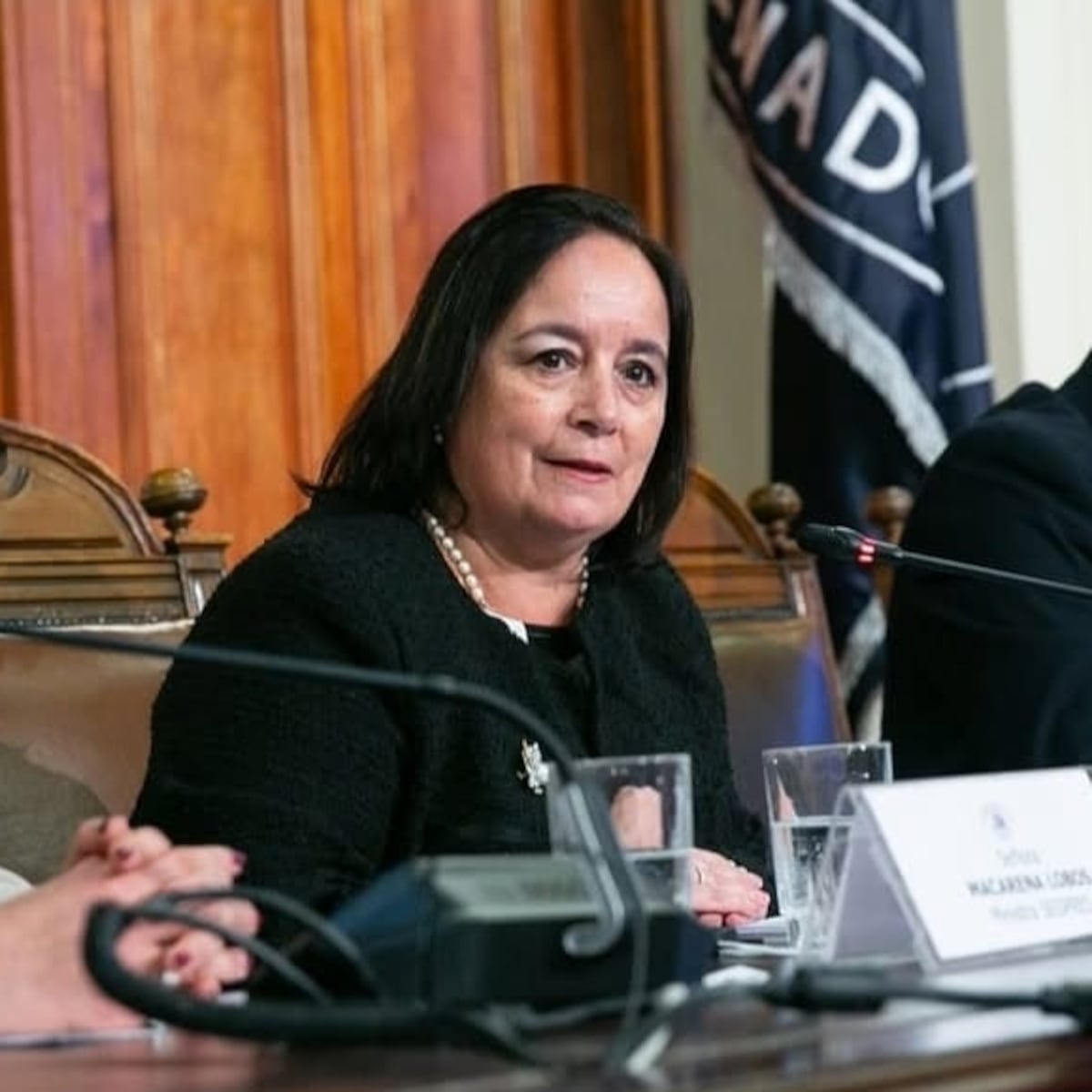 Senadora Aravena denuncia modus operandi de fake news del Partido Republicano Senadora Aravena denuncia modus operandi de fake news del Partido Republicano