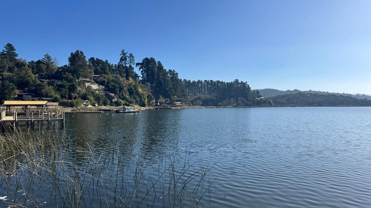 Ministerio de Medio Ambiente