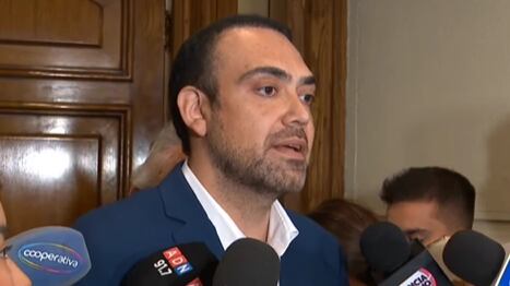 El senador independiente Karim Bianchi