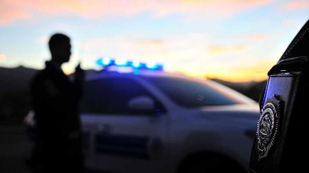 PDI imagen referencial