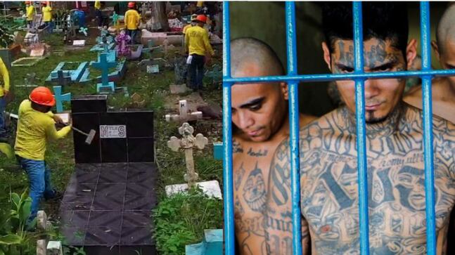El gobierno de El Salvador comenzó a destruir las lápidas de miembros de pandillas como la MS-13 para evitar que se conviertan en lugares de culto y pidió a la ciudadanía que informen de los lugares en que éstas se encuentran.
“En El Salvador NO hay espacio para los terroristas”, publicó este jueves el viceministro de Justicia, Osiris Luna, en su cuenta de Twitter.
Esta autoridad además explicó que se tomó esta decisión para evitar que miembros de pandillas pudieran “honrar” a sus compañeros fallecidos.