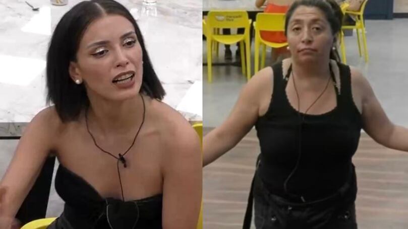 constanza capelli renuncia