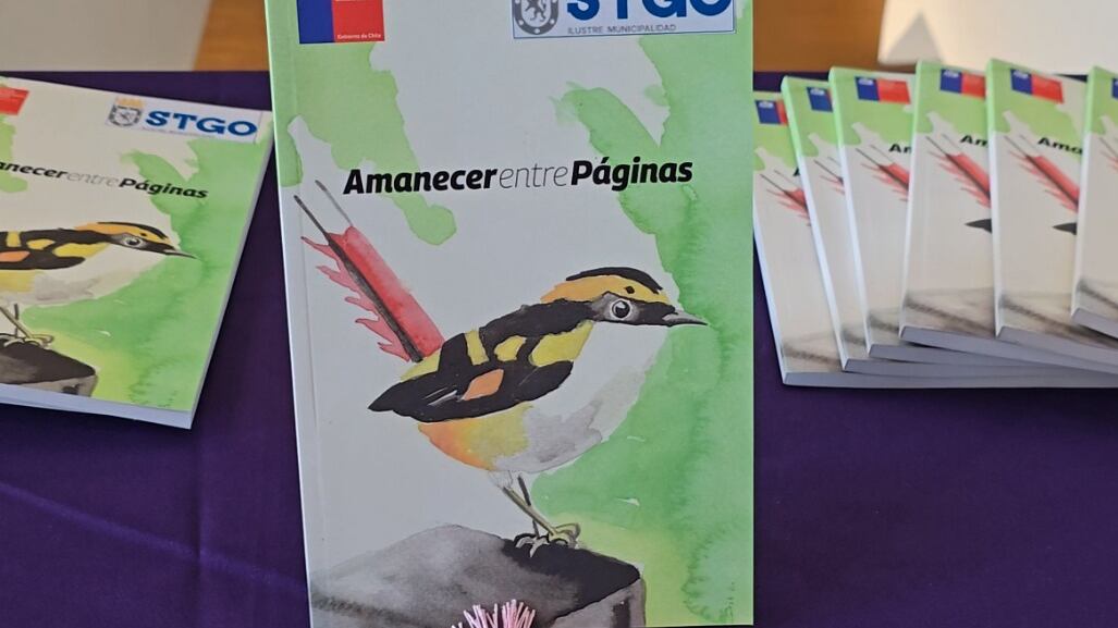 Amanecer entre páginas