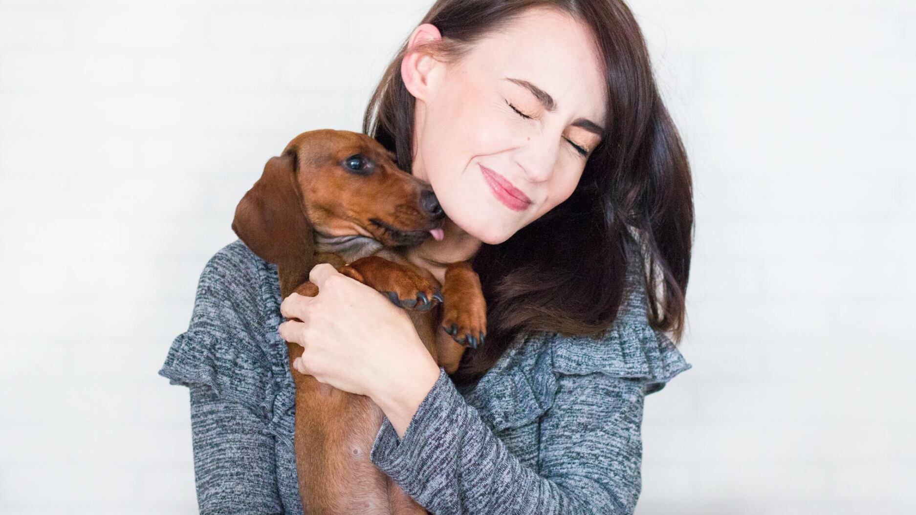 Puedes adoptar un perrito o un gatito