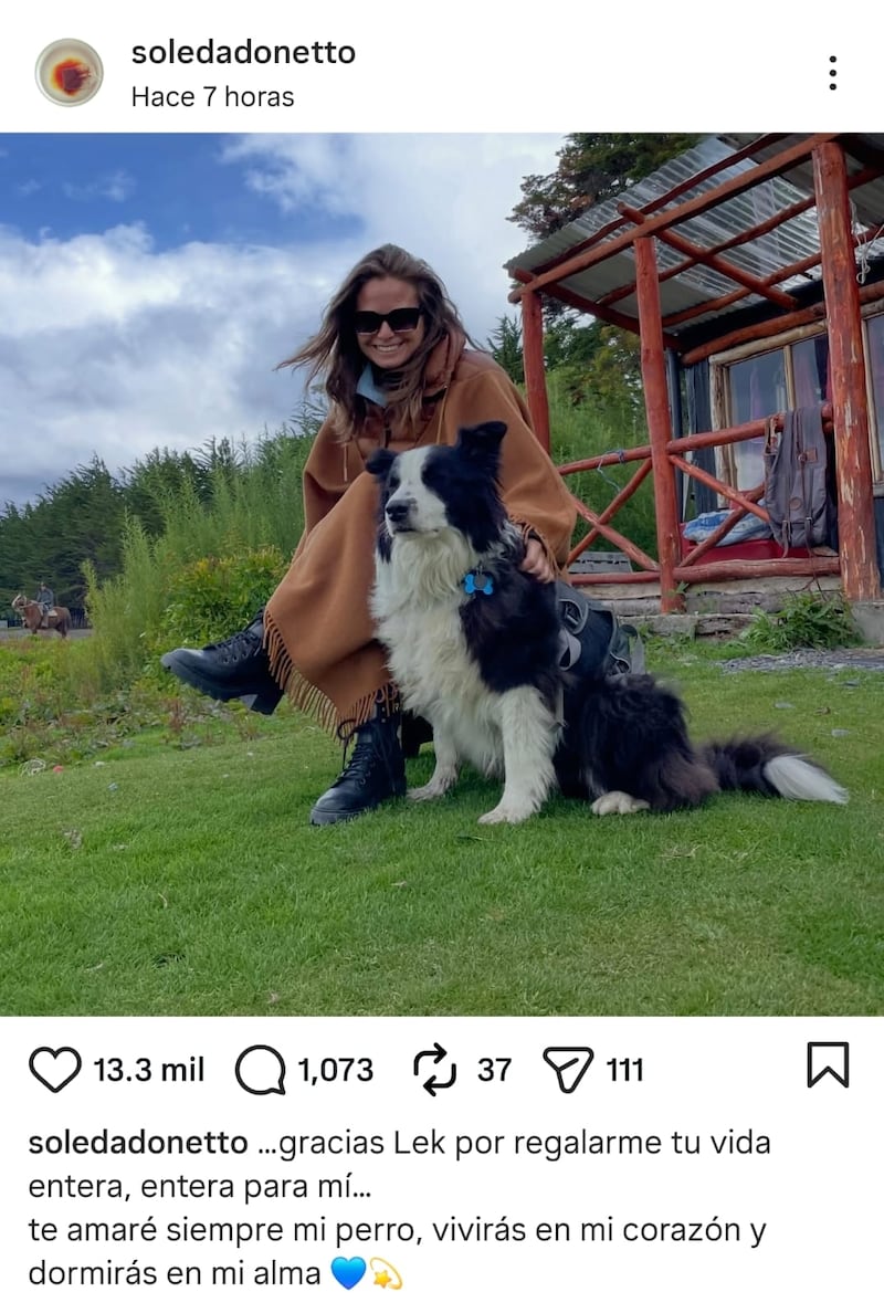 La publicación superó rápidamente las 13 mil interacciones, generando numerosas reacciones de apoyo y mensajes de consuelo para Soledad Onetto.