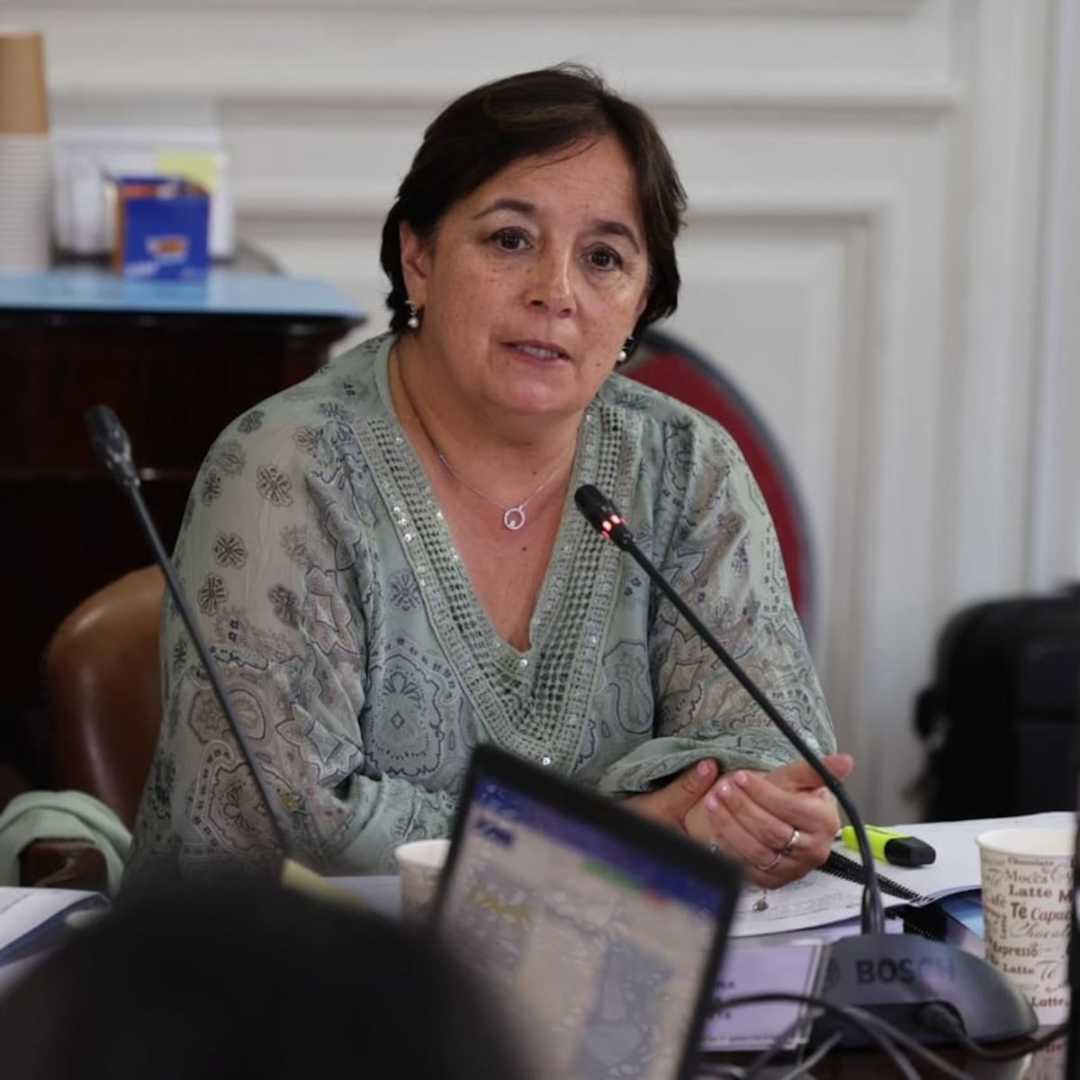 Senadora Aravena exige transparencia en manejo de recursos públicos Senadora Aravena exige transparencia en manejo de recursos públicos