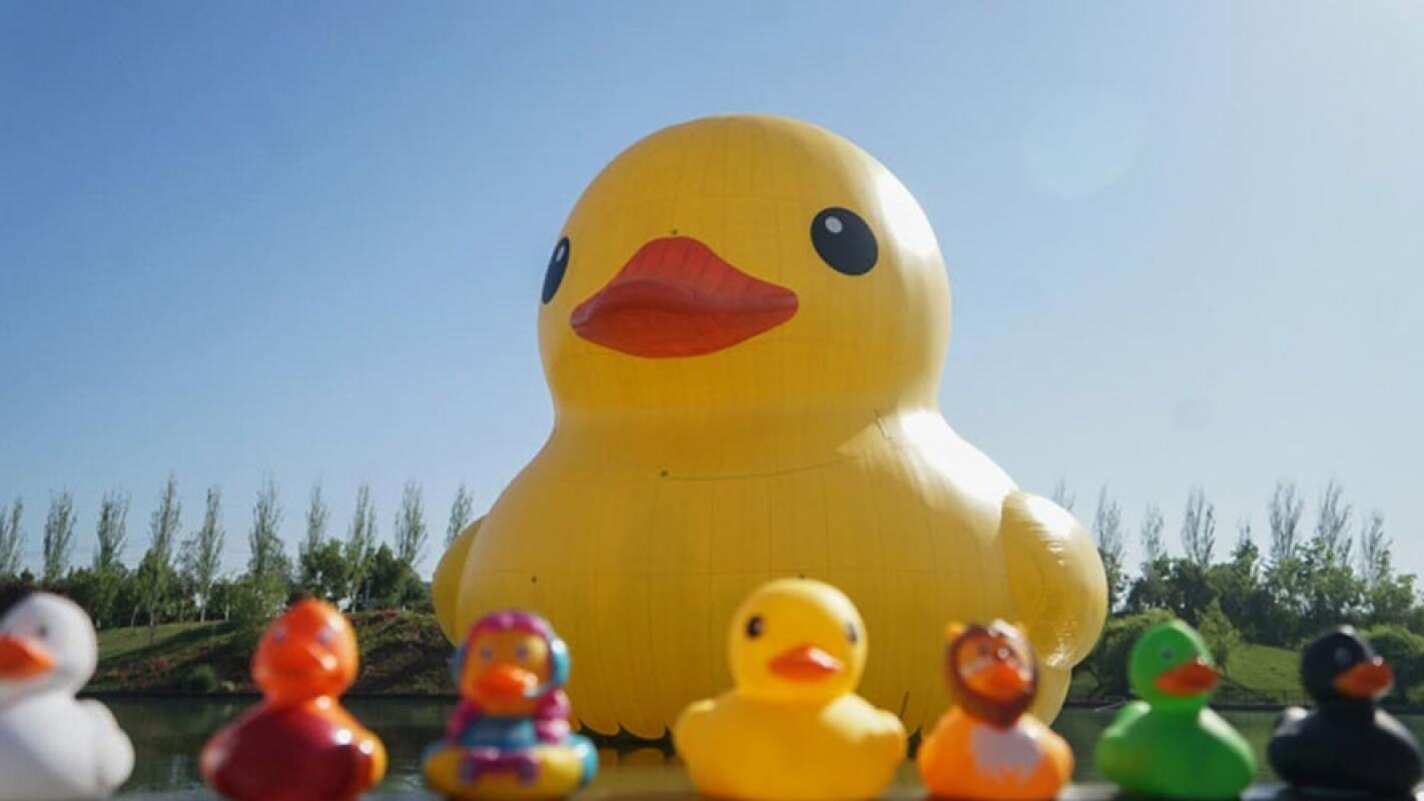¡Pato gigante regresa a Santiago por el Día del Niño!: revisa lugar y horarios del panorama gratuito