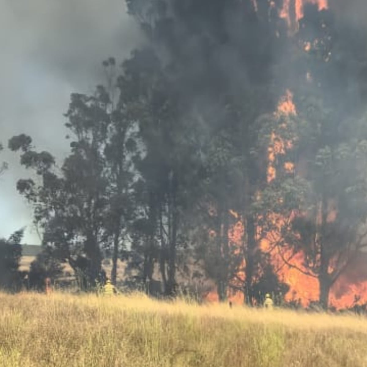 Evacuación por incendios forestales en RM y Valparaíso Evacuación por incendios forestales en RM y Valparaíso