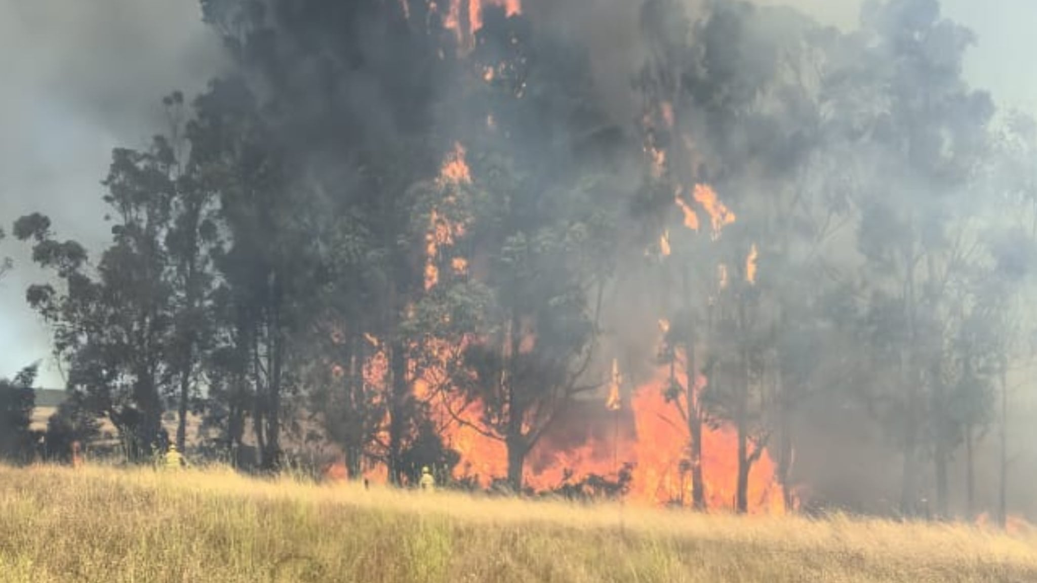 Senapred activó el Sistema de Alerta de Emergencia para advertir a la población sobre el riesgo y solicitar evacuaciones inmediatas.