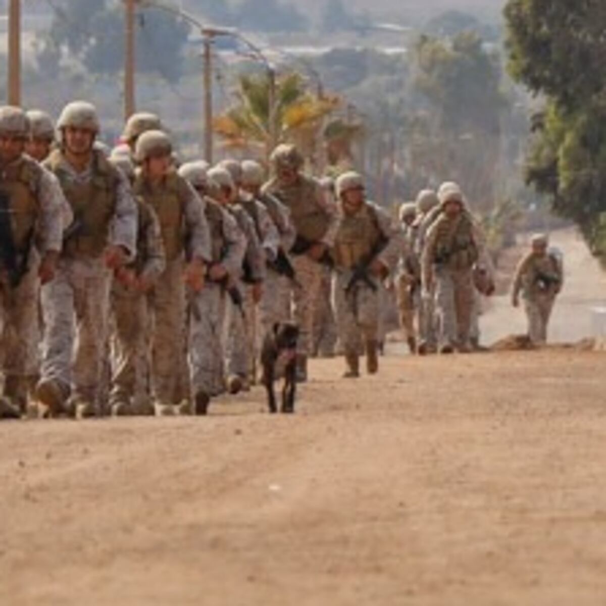 Investigan muerte de subteniente en unidad militar de Pozo Almonte Investigan muerte de subteniente en unidad militar de Pozo Almonte