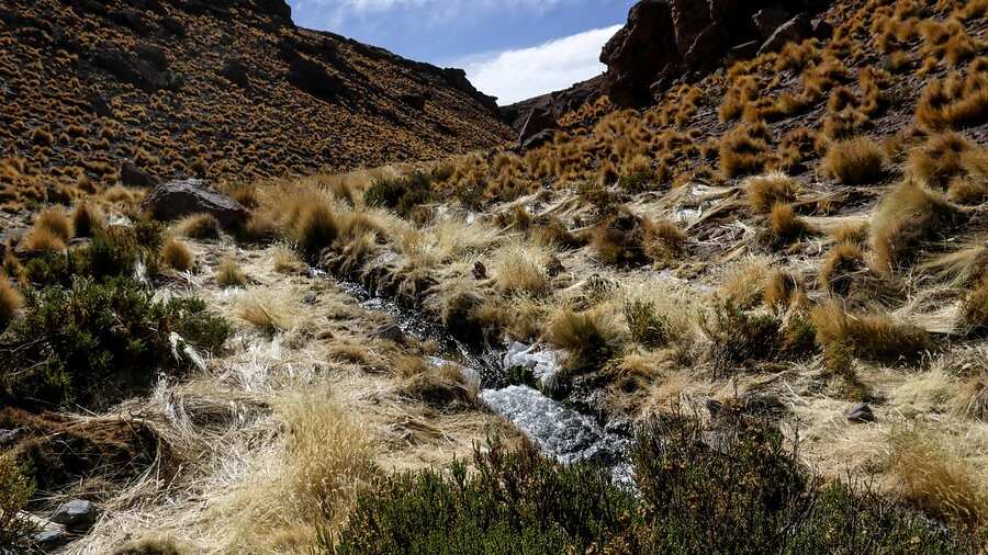Corte Internacional de Justicia de La Haya dará a conocer fallo por río Silala este jueves