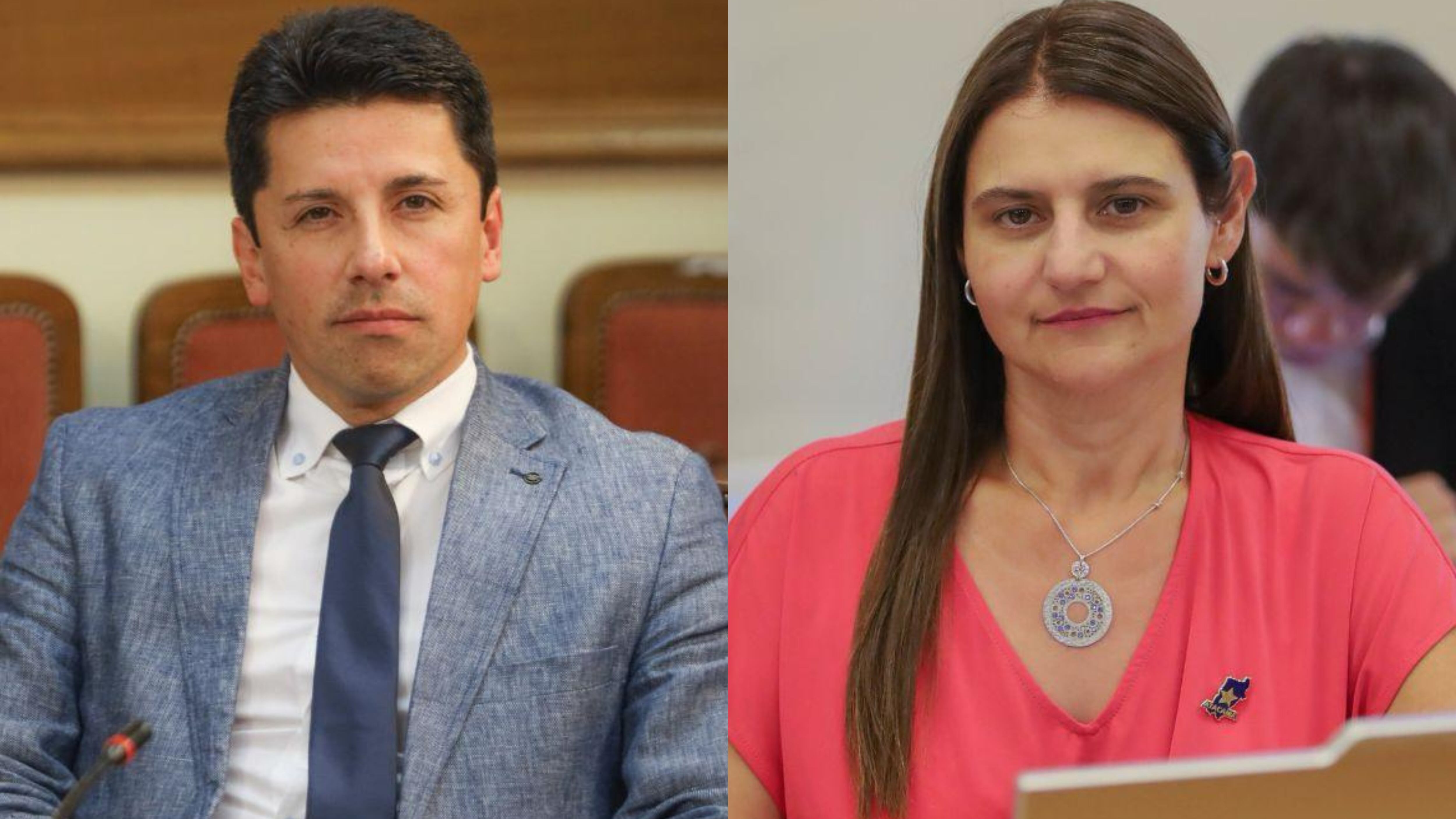 Diputados Mauro González y Sofía Cid