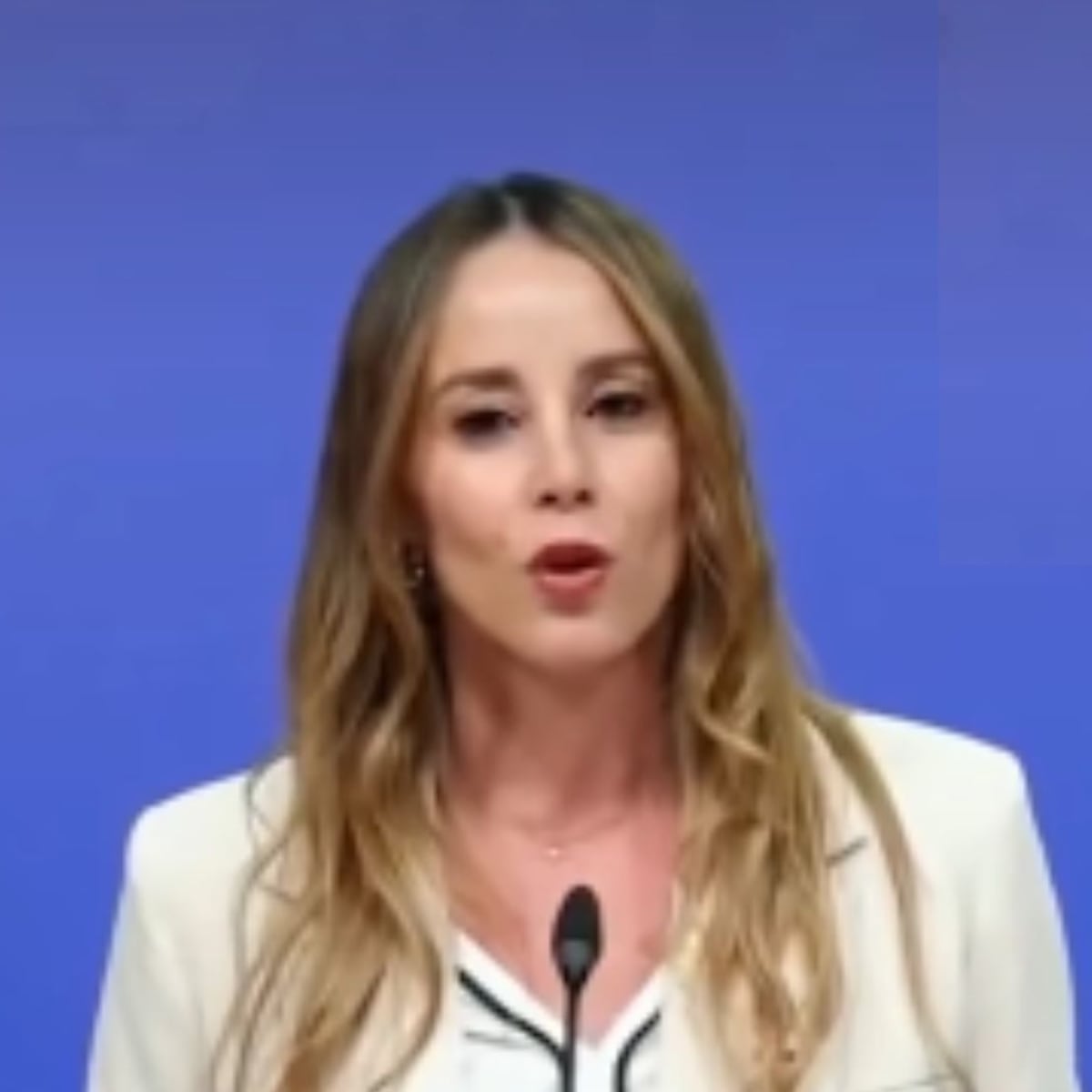 Mara Sedini acusa al Gobierno de trabajar contra la seguridad Mara Sedini acusa al Gobierno de trabajar contra la seguridad