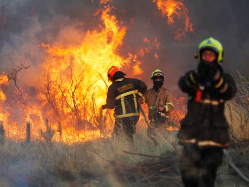 Incendios forestales: crece la percepción de riesgo y cae la confianza en la respuesta estatal