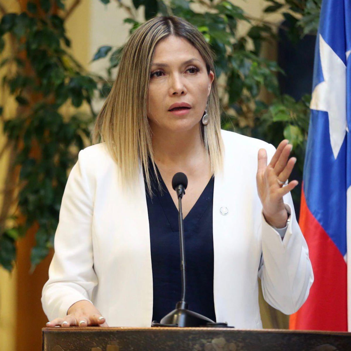 Marlene Pérez cuestiona alcance de subsidio eléctrico del Gobierno Marlene Pérez cuestiona alcance de subsidio eléctrico del Gobierno