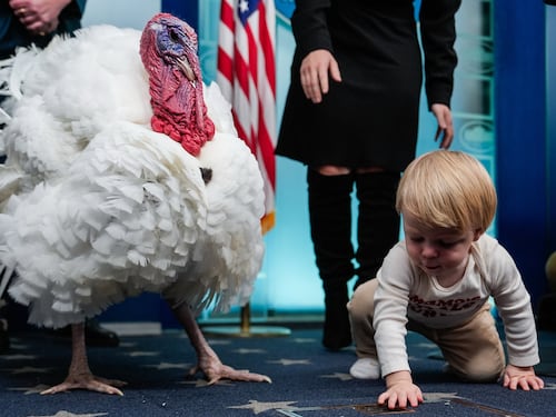 ¿Por qué el Día de Acción de Gracias es el feriado más importante en Estados Unidos?