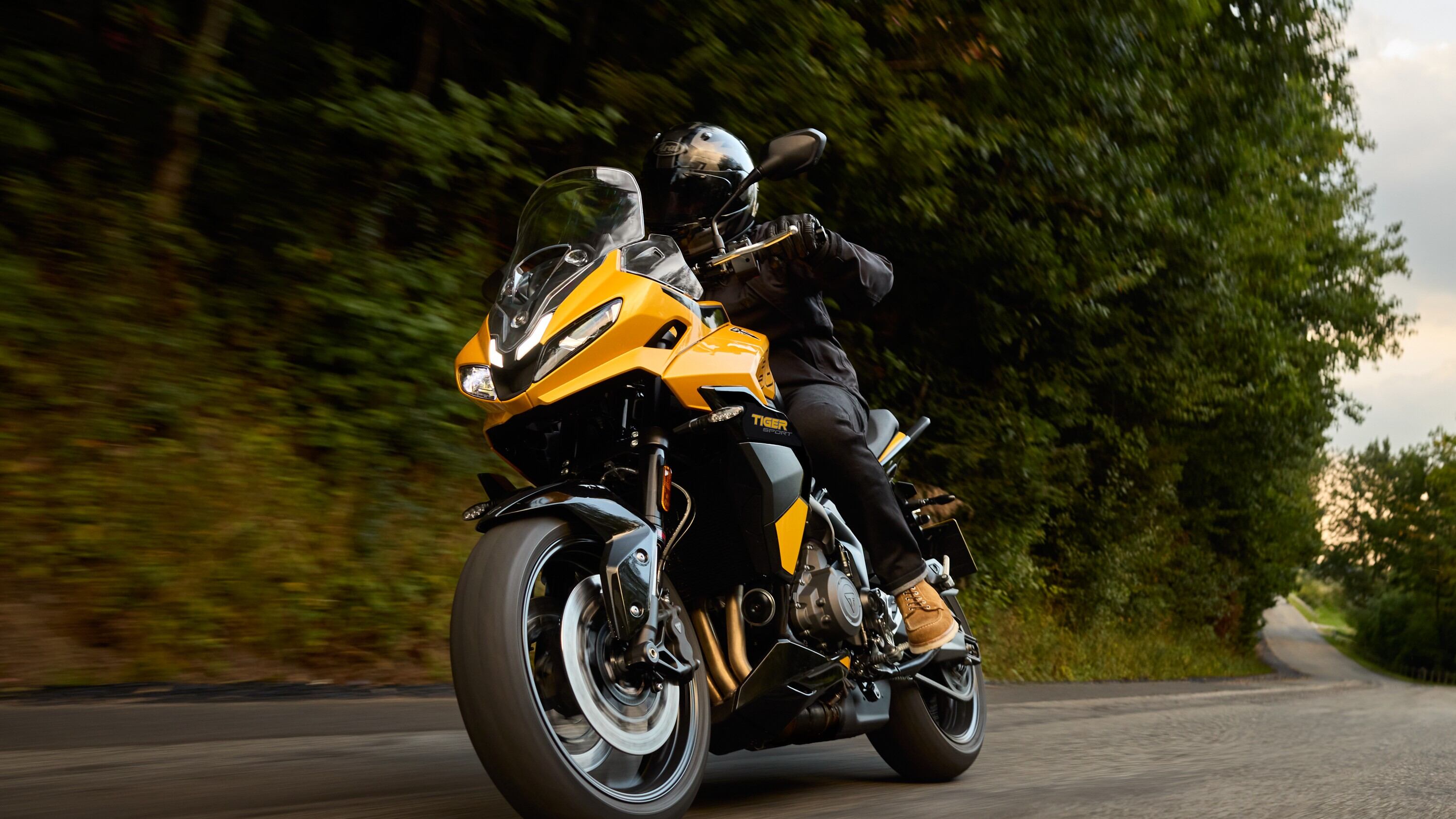 Triumph Tiger Sport 800