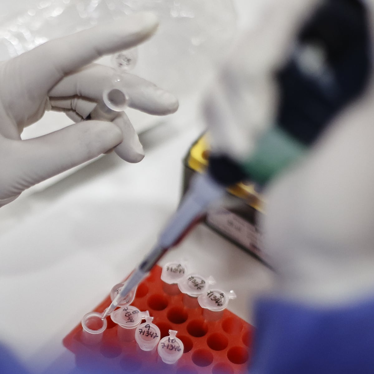 Mutación en virus MPox preocupa a científicos Mutación en virus MPox preocupa a científicos