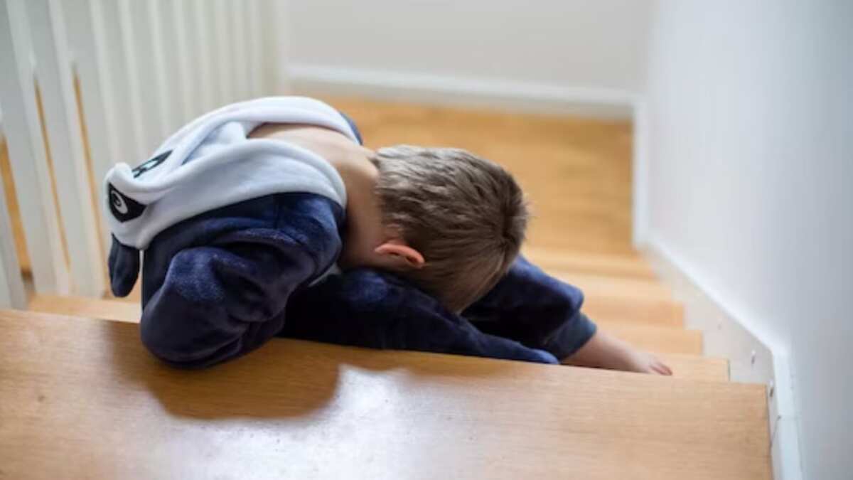 ¡Alerta! Un niño obediente y tranquilo no siempre es un niño feliz ¿por qué?