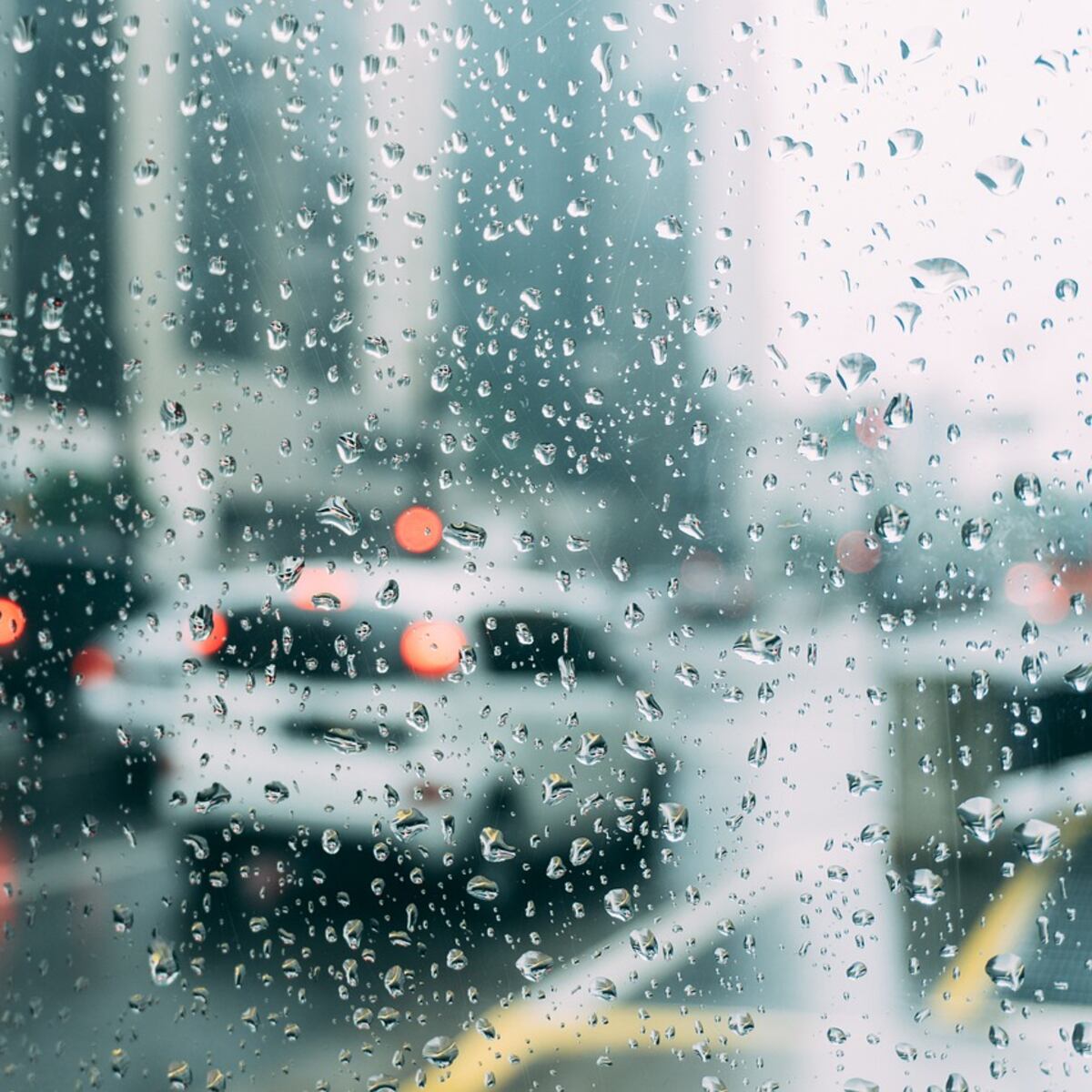 San Valentín pasará bajo la lluvia y vientos fuertes San Valentín pasará bajo la lluvia y vientos fuertes