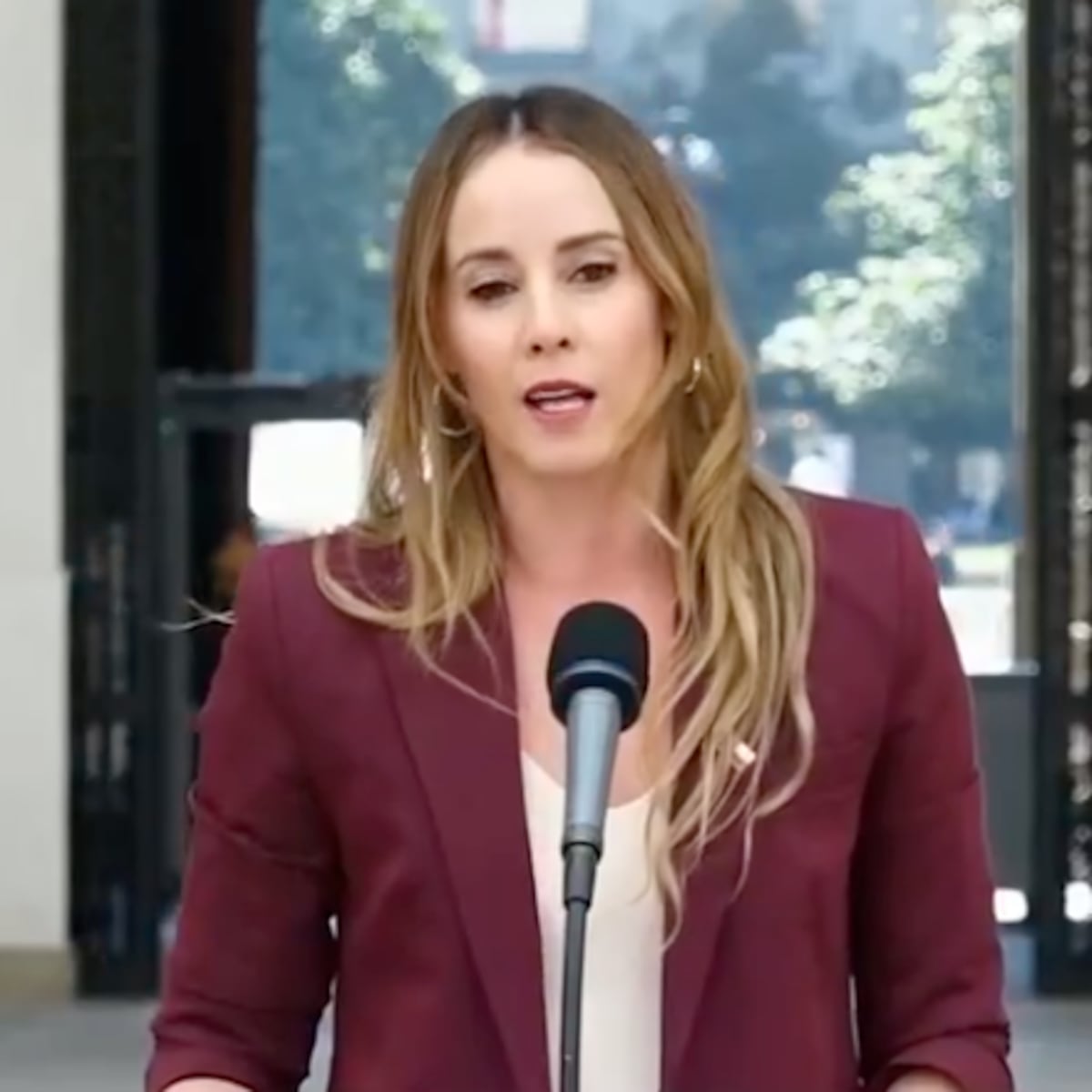 Ministra Sedini comete error sobre Galvarino Apablaza Ministra Sedini comete error sobre Galvarino Apablaza