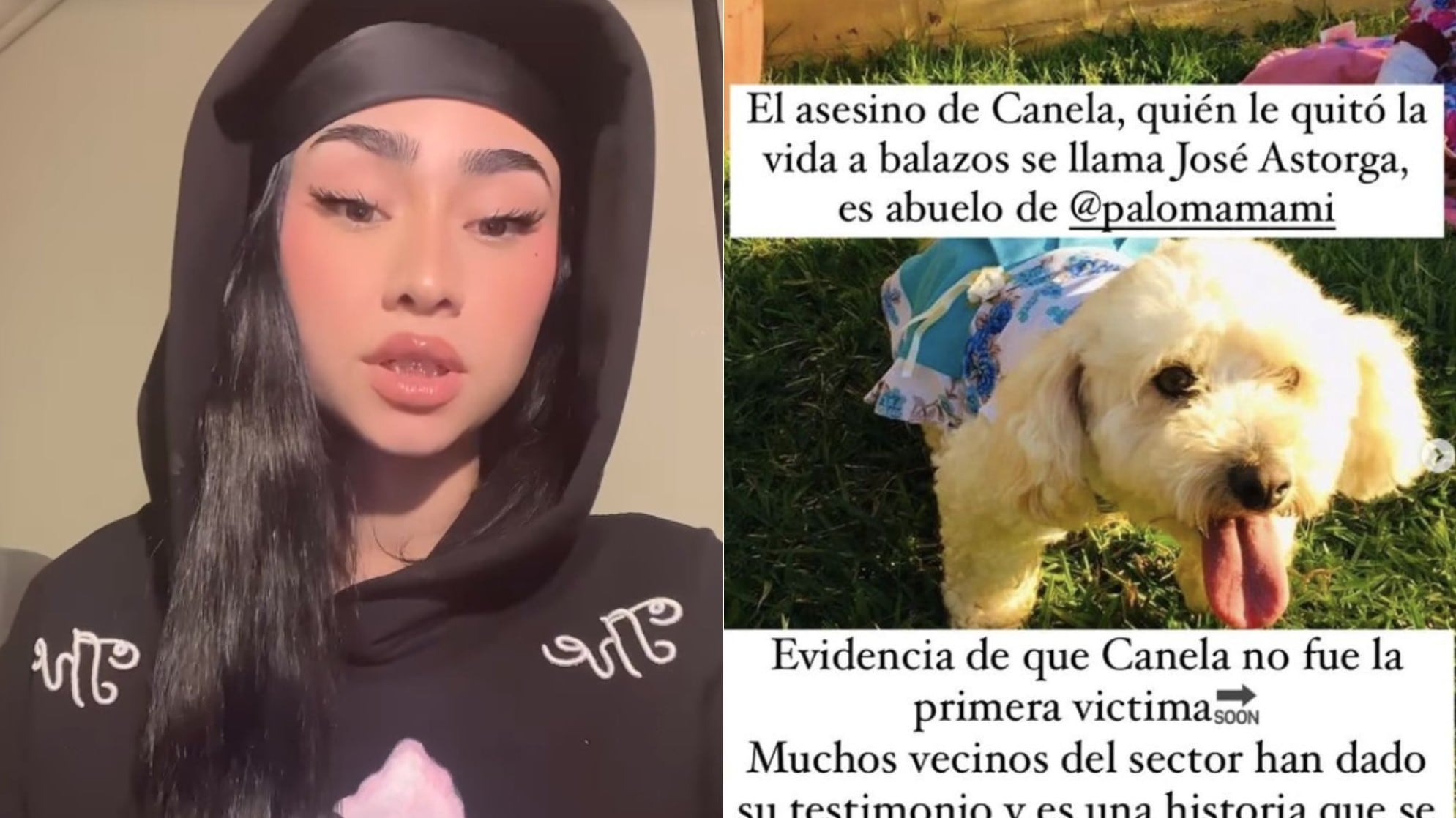 Paloma Mami habló sobre la funa a su abuelo | Instagram